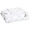 Aden + Anais Dream Cobertor Mickey + Minnie-Magic Online