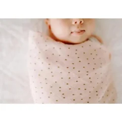 Aden + Anais pacote de 4 cobertores de musselina Dahlia Discount