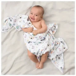 Aden + Anais Swaddles Around The World 4-Pack Discount