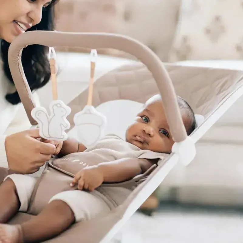 baby_delight__alpine_delu_SKUoaHU38Dc_1.webp Baby Delight - Alpine Deluxe Portable Bouncer, 0-6 meses, Organic Mocha Outlet