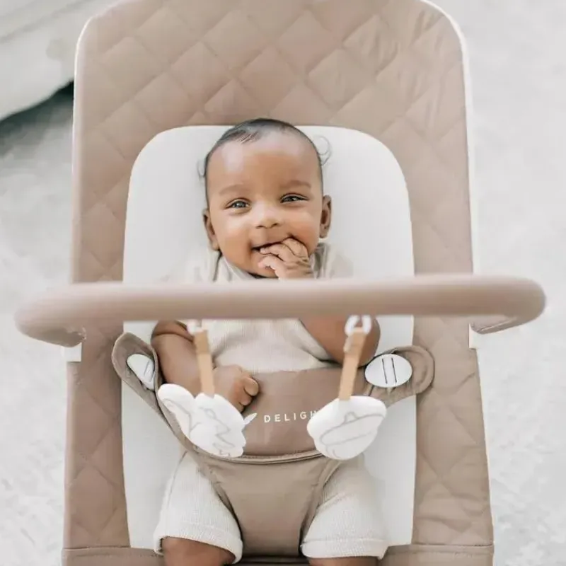 baby_delight__alpine_delu_SKUoaHU38Dc_2.webp Baby Delight - Alpine Deluxe Portable Bouncer, 0-6 meses, Organic Mocha Outlet