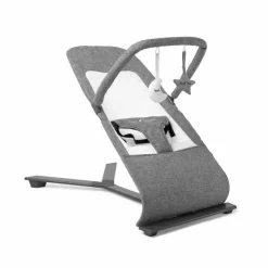 Baby Delight - Segurança portátil Alpine Deluxe, 0-6 meses, Charcoal Tweed Hot