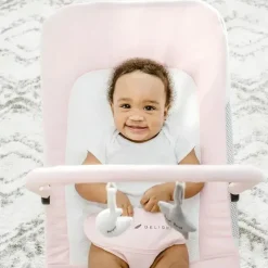 Baby Delight - Segurança portátil Alpine Deluxe, rosa peônia Hot
