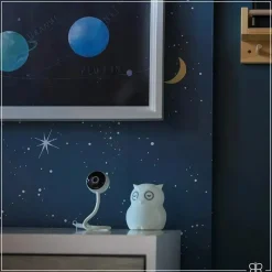 Bbluv Viyü- Monitor de bebê Wi-Fi Online