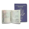 MacroBaby Boneca Reborn Maternidade - Passport USA Best