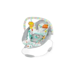 Bright Starts Bouncer de berço selvagem lunático Clearance