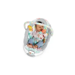 Bright Starts Bouncer de berço selvagem lunático Clearance