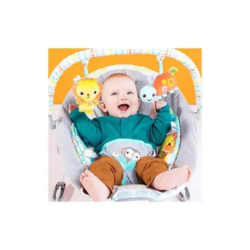 bouncer_de_bero_selvagem__SKUFptCDAd4_2.webp Bright Starts Bouncer de berço selvagem lunático Clearance