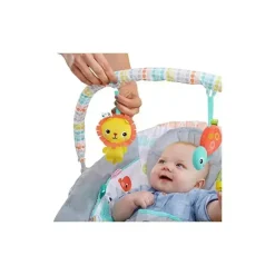 Bright Starts Bouncer de berço selvagem lunático Clearance