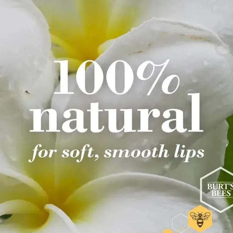 burts_bees___unidades_de__SKUrKfDhgLp_2.webp Burt's Bees Baby Burts Bees - 2 unidades de protetor labial de coco e pêra Sale