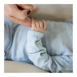 Burt's Bees Baby Burts Bees - Baby Raised Terry Bee Take Me Home Set, Ocean Online