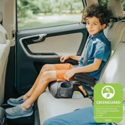 Chicco - Gofit Cleartex Assento de carro sem encosto Booster, Reef Best