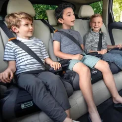 Chicco - Gofit Cleartex Assento de carro sem encosto Booster, Reef Best