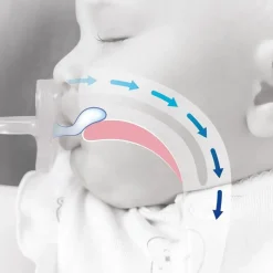 Chicco Feeding - Physioforma Dual Soft Pacifier Pearl/Ballet Slipper 2-6M, 2Pk Online
