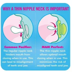 Mam Chupeta 2-Pack 0-6M Perfect - Rosa/Roxo Discount