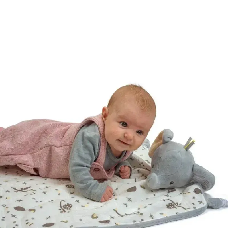 douglas_beb_joey_elefante_SKUK3vKhUrQ_1.webp Douglas Bebê Joey Elefante Cinzento Blanki Lovey Sale