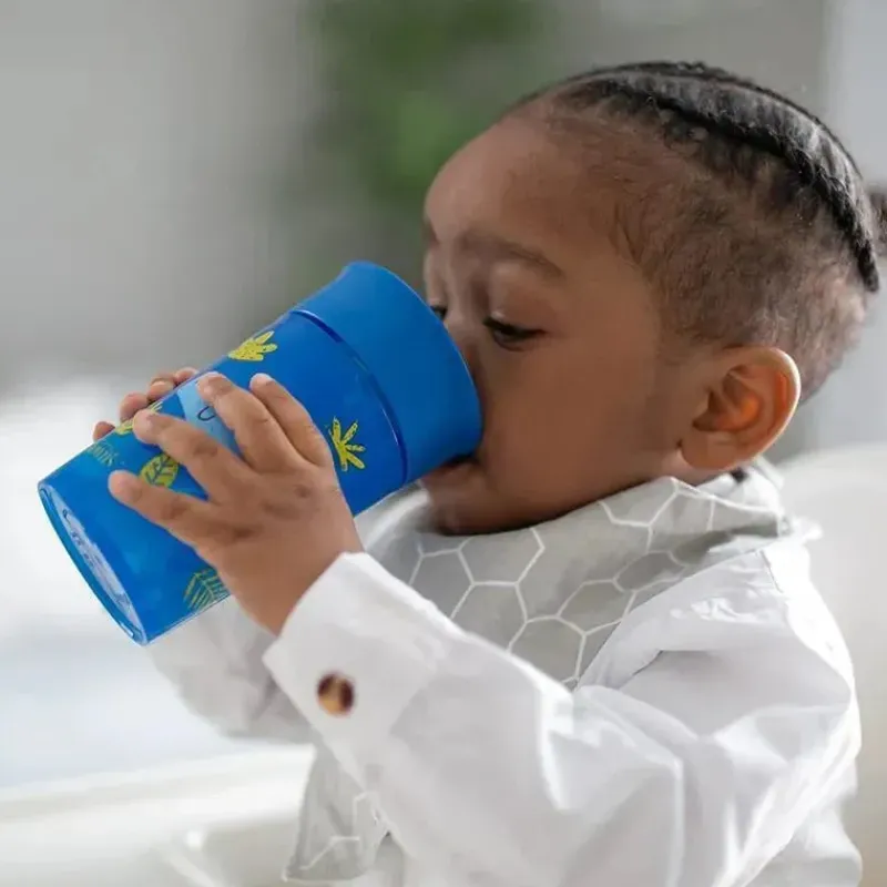 dr_brown__blue_milestones_SKUJTnhP3sM_1.webp Dr. Brown's Dr. Brown - Blue Milestones Cheers360 Training Sippy Cup Clearance