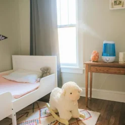 Dr. Brown's Dr. Brown - Cool Mist Humidifier W/Night Light Sale