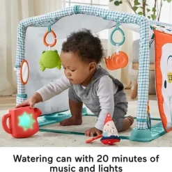 Fisher-Price Fisher Price - Playmat 3 em 1 Crawl &amp; Play Activity Gym Best