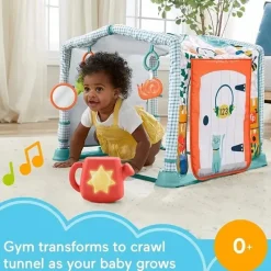 Fisher-Price Fisher Price - Playmat 3 em 1 Crawl &amp; Play Activity Gym Best
