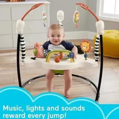 Fisher-Price - Centro de atividades Baby Bouncer Palm Paradise Jumperoo com luzes musicais, sons e brinquedos de desenvolvimento? New