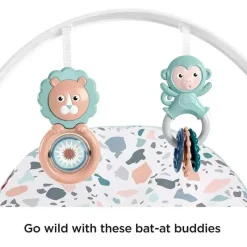 Fisher-Price Infant-to-Toddler Rocker, Pebbles Hot