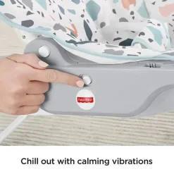 Fisher-Price Infant-to-Toddler Rocker, Pebbles Hot