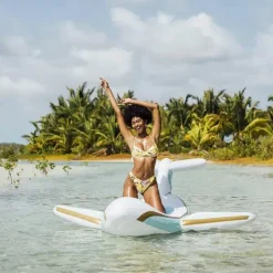 Funboy - Flutuador inflável gigante para piscina de avião a jato particular de luxo Clearance