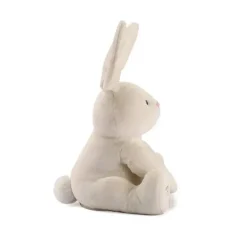 Gund Baby Flora O Coelhinho Animado Pelúcia Brinquedo De Pelúcia Discount
