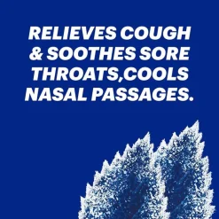 PTL USA Halls - Minis Menthol-Lyptus 24 Ct New