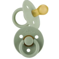 Itzy Ritzy - Chupeta Paciset de Borracha Natural, Agave Suculenta Outlet