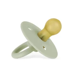 Itzy Ritzy - Chupeta Paciset de Borracha Natural, Agave Suculenta Outlet