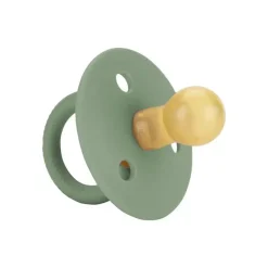 Itzy Ritzy - Chupeta Paciset de Borracha Natural, Agave Suculenta Outlet