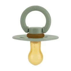Itzy Ritzy - Chupeta Paciset de Borracha Natural, Agave Suculenta Outlet