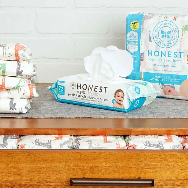 lenos_umedecidos_honestos_SKU2L9jzXxW_1.webp The Honest Company Lenços umedecidos honestos, 72 contagens Hot