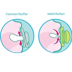 Mam - Chupeta Perfeita para Bebé 6M+ Outlet