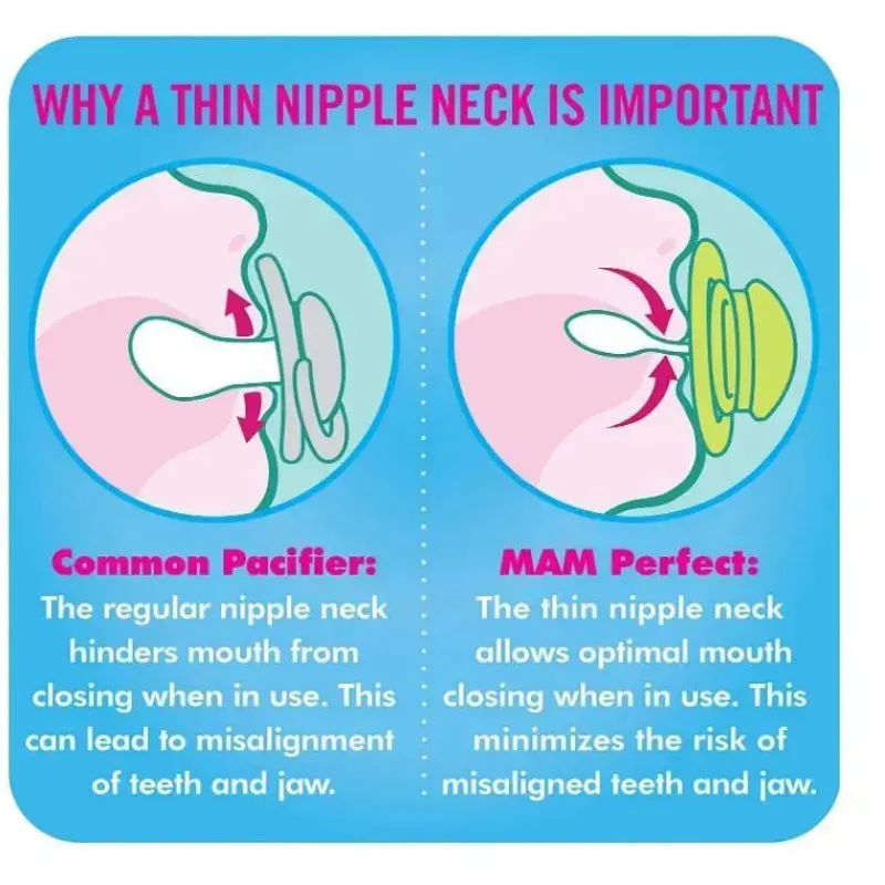 mam_pack__meses_perfect_n_SKUXspX85dX_2.webp Mam 2-Pack 6+ Meses Perfect Night Chupeta - Rosa/Roxo Best