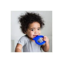 Iplay Mordedor de frutas de silicone com brotos verdes, mirtilo Discount