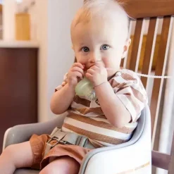 Ola Baby - Alimentador de frutas frescas de silicone e conjunto de picolé para introdução de alimentos sólidos, mirtilo Discount