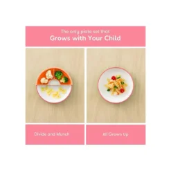 OmieBox Omie - Toddler Plate With Divider, Pink | 1 plate Hot