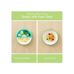 OmieBox Omie - Toddler Plate With Divider, Green Discount