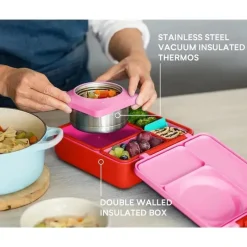OmieBox - Divisor Teal, Pink Berry Fashion