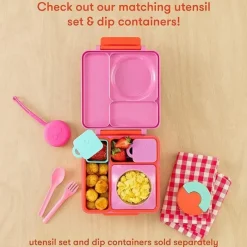OmieBox - Divisor Teal, Pink Berry Fashion