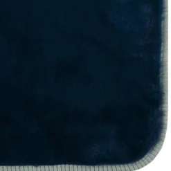 Gerber Roupa de cama - Cobertor de pelúcia 1Pk 2Ply, Dino Time Online