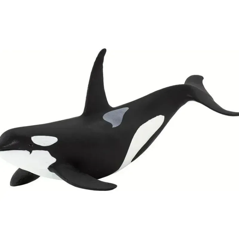safari_ltd__estatueta_de__SKU49msIJT3_0.webp Safari Ltd . - Estatueta de orca da vida marinha do Safari selvagem Sale