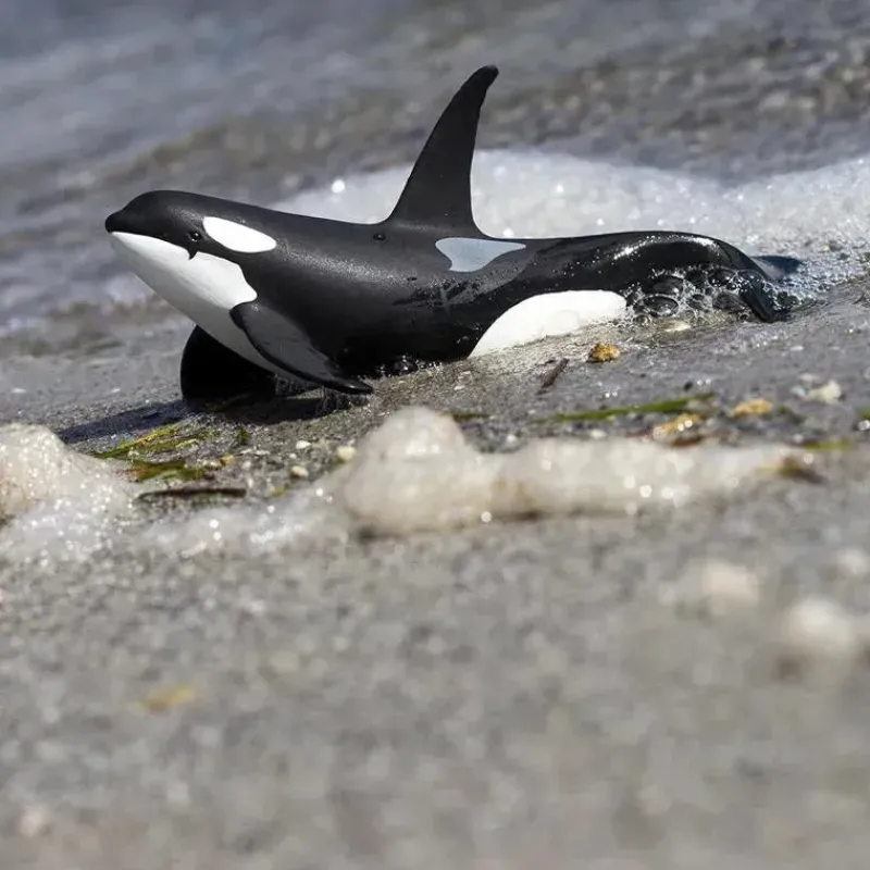 safari_ltd__estatueta_de__SKU49msIJT3_7.webp Safari Ltd . - Estatueta de orca da vida marinha do Safari selvagem Sale
