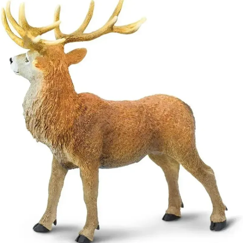safari_ltd__estatueta_de__SKUNJMlJzc5_3.webp Safari Ltd . - Estatueta de veado vermelho, figura detalhada de 4,75 Discount