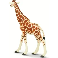 Safari Ltd . - Estatueta de girafa reticulada, figura realista de 7 modelos Outlet