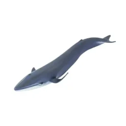 Safari Ltd a Vida Selvagem de Baleia Azul a Online