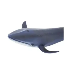 Safari Ltd a Vida Selvagem de Baleia Azul a Online